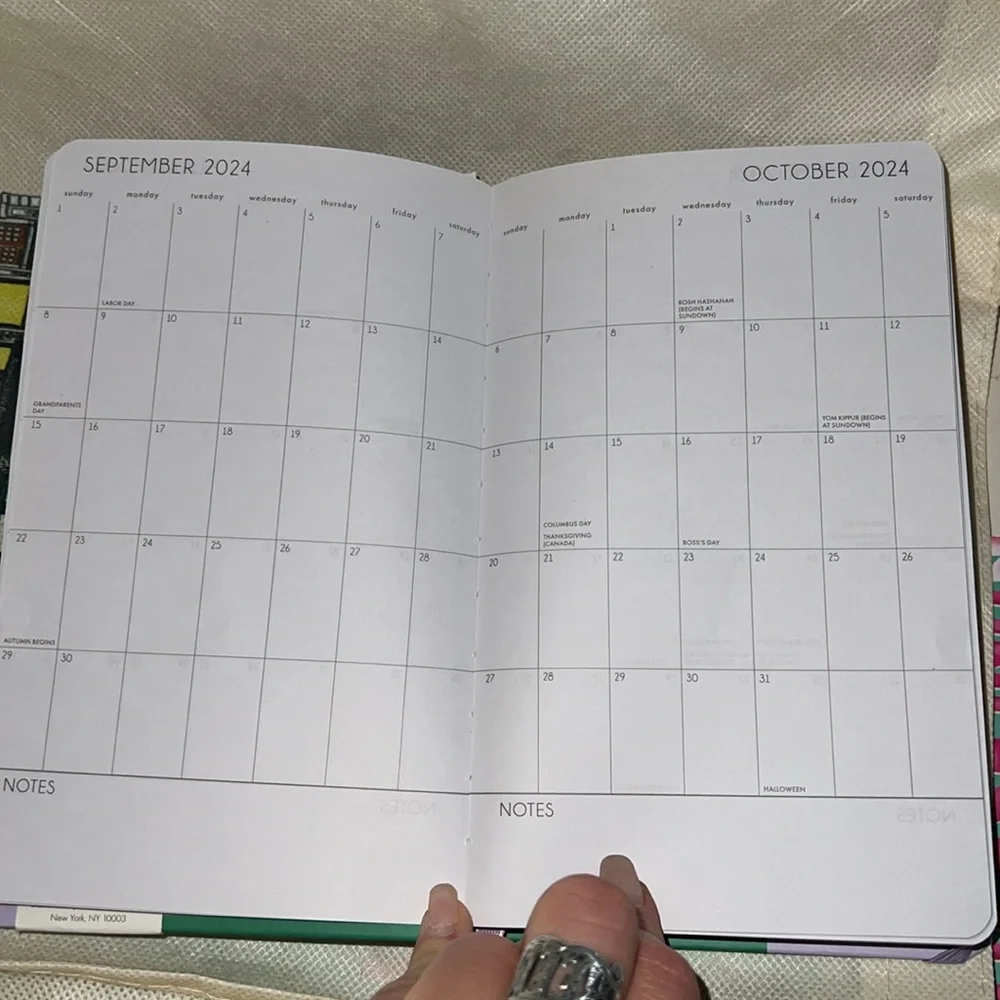 Paper Source 2023-2024 Paper Source Daily Monthly Planner - Picnic